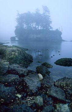 an island in the middle of water surrounded by rocks and trees on a foggy day