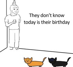 two cats are standing in front of a man with a birthday hat on and another cat is looking at him