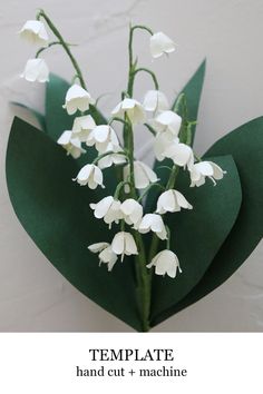 a bouquet of white flowers sitting on top of a green leafy plant with the words online template