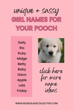 dog names female Aesthetic Dog Names, Unique Dog Names, Names For Girl, Puppy Aesthetic, List Of Girls Names