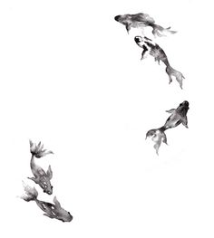 four fish are flying in the air together, one is black and white while the other is gray