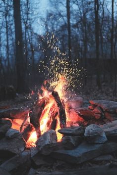 a campfire is lit up in the woods