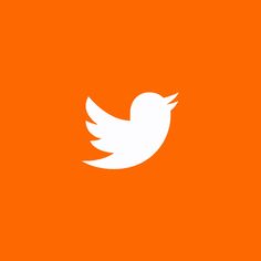 a white twitter bird on an orange background