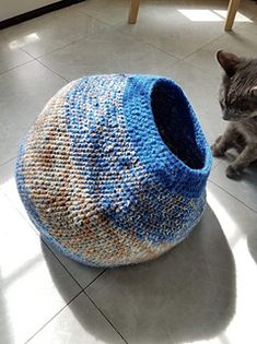 a gray cat sitting next to a blue and white cat bed