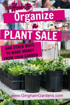 an outdoor garden sale with plants in pots and the words how to organize plant sale and other ways to make money from your garden