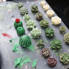 there are many cupcakes made to look like cactuses and succulents