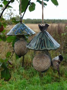 three glass bird feeders hanging from a tree in a grassy area with tall grass