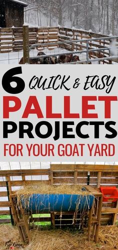 a sign that says, 6 quick and easy pallet projects for your goat yard