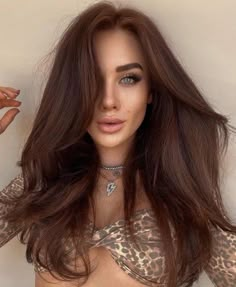 Warm Brown Hair Color for Brunettes Red Brown Hair Colors, Chocolate Auburn Hair, Warm Brown Hair Color, Brown Auburn Hair, Reddish Brown Hair Color, Red Brown Hair Color, Unnatural Hair Color, Hair Formulas, Warm Brown Hair