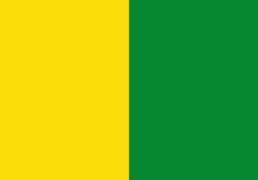 the flag of guinea is shown in green and yellow