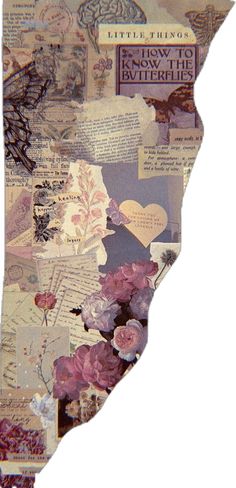 a collage of different types of paper with flowers and hearts on it in the shape of california