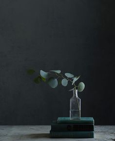 a plant in a vase on top of two books