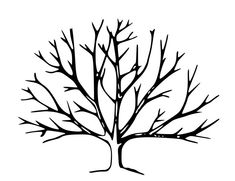 the four branches of a tree are labeled in black and white, with words below