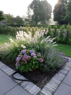 a garden filled with lots of purple and white flowers