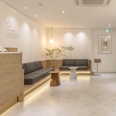 an empty waiting room with two couches and a plant in the corner on display