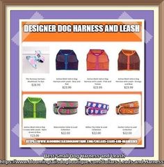 dog harness leash