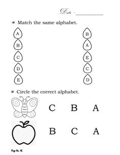 worksheet for the letter b and c with an apple, bee, and letters