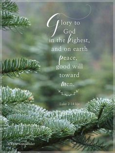 a pine tree with the words, joy to god in the highest and on earth good will