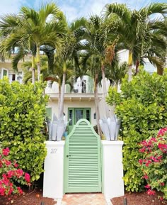 a green door is in front of some palm trees