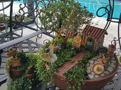 a potted planter filled with plants next to a small house and swimming pool