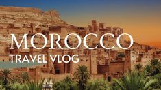 morocco travel vlog with palm trees in the foreground