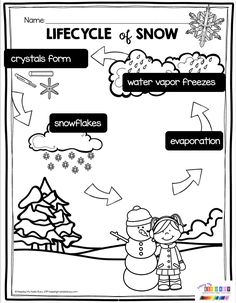 the life cycle of snow worksheet for kids to learn how to draw and color