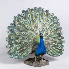 a blue and green peacock standing on top of a white surface with its feathers spread out