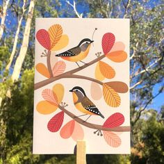 a bird sitting on top of a tree branch next to leaves and trees with blue sky in the background