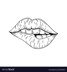 a female lips sketch on white background