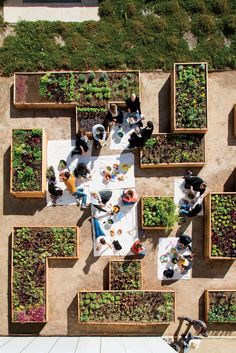 an overhead view of several people sitting at tables with plants growing in them and on the ground