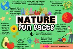 a poster with words and pictures on it that say nature fun faces, including an image of