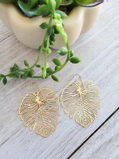 "Lightweight earrings feature large raw brass monstera leaves, they hang from 14k gold filled ear wires. Earrings measure 2 1/4\" x 1 3/4\". All your items will be packaged and shipped in a cotton filled kraft box. ~The best way to prevent tarnish is to wear your jewelry regularly. When not wearing your jewelry, the best way to protect it is to store it in a sealed plastic bag. Humidity, chemicals and chlorine can dramatically speed up the tarnishing process." Nature-inspired Gold Earrings, Nature-inspired Nickel-free Gold Earrings, Nature-inspired Gold Nickel-free Earrings, Nature-inspired Gold Earrings With Ear Wire, Handmade Gold Leaf Earrings, Nature-inspired Gold Hoop Earrings For Pierced Ears, Gold Nature-inspired Metal Earrings, Gold Leaf Hoop Earrings, Gold Leaf-shaped Hoop Earrings For Gift