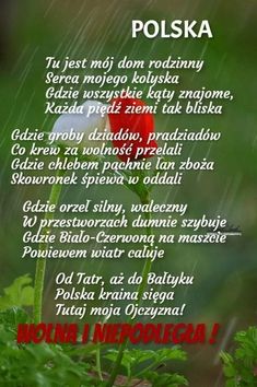 a poem written in the language of polish on a green background with red and white flowers