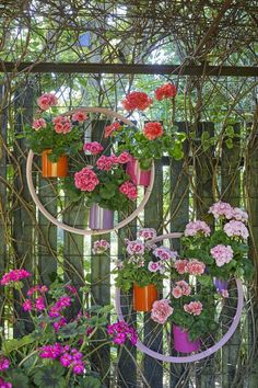 an arrangement of flowers hanging from a trellis in front of a wooden fence with pink and red flowers