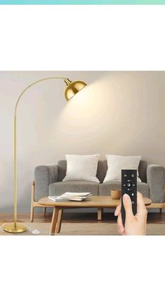 a person holding a remote control in front of a living room with couches and lamps