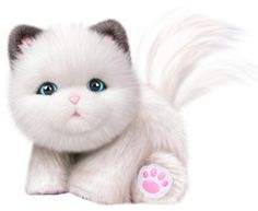 a white cat with blue eyes and pink paws