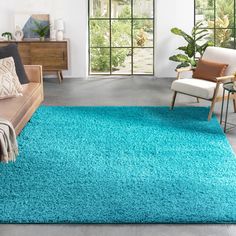 a living room with a blue rug on the floor