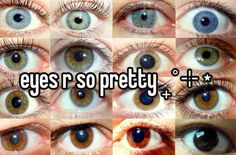 Eyes Type, Eyes Talk, Pretty Features, Eye Reference, Eye Colours, Eyes Contact