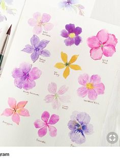 watercolor flowers are shown on top of the paper