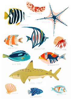 an illustration of different types of fish and starfishs in watercolor on white paper