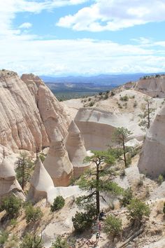 people are standing on the side of a hill near many large rocks and pine trees