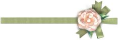 a pink flower with green ribbon on white background