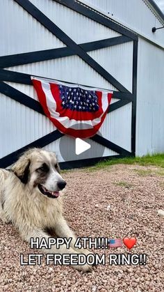 a dog sitting in front of a barn with the words happy 4th let freedom ring