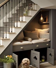 a dog is sitting on the floor under some stairs in a room that has been converted into a storage area