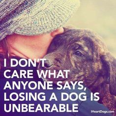 a woman is hugging her dog with the caption i don't care what anyone says, losing a dog is unbearable