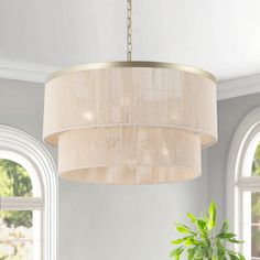 a chandelier hanging from a ceiling in a living room with two potted plants