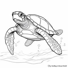 a turtle swimming in the ocean coloring page