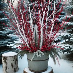 a potted plant sitting on top of a tree stump in the snow with red berries