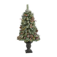 a christmas tree with pine cones and berries in a black vase on a white background