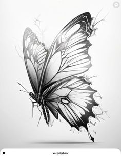 a black and white butterfly flying through the air